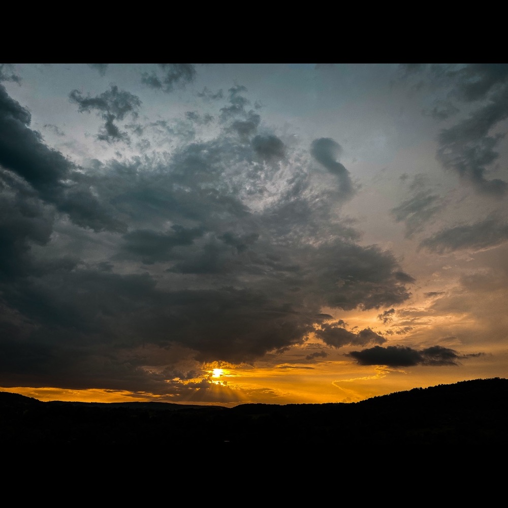 Meet your Posher, Neil